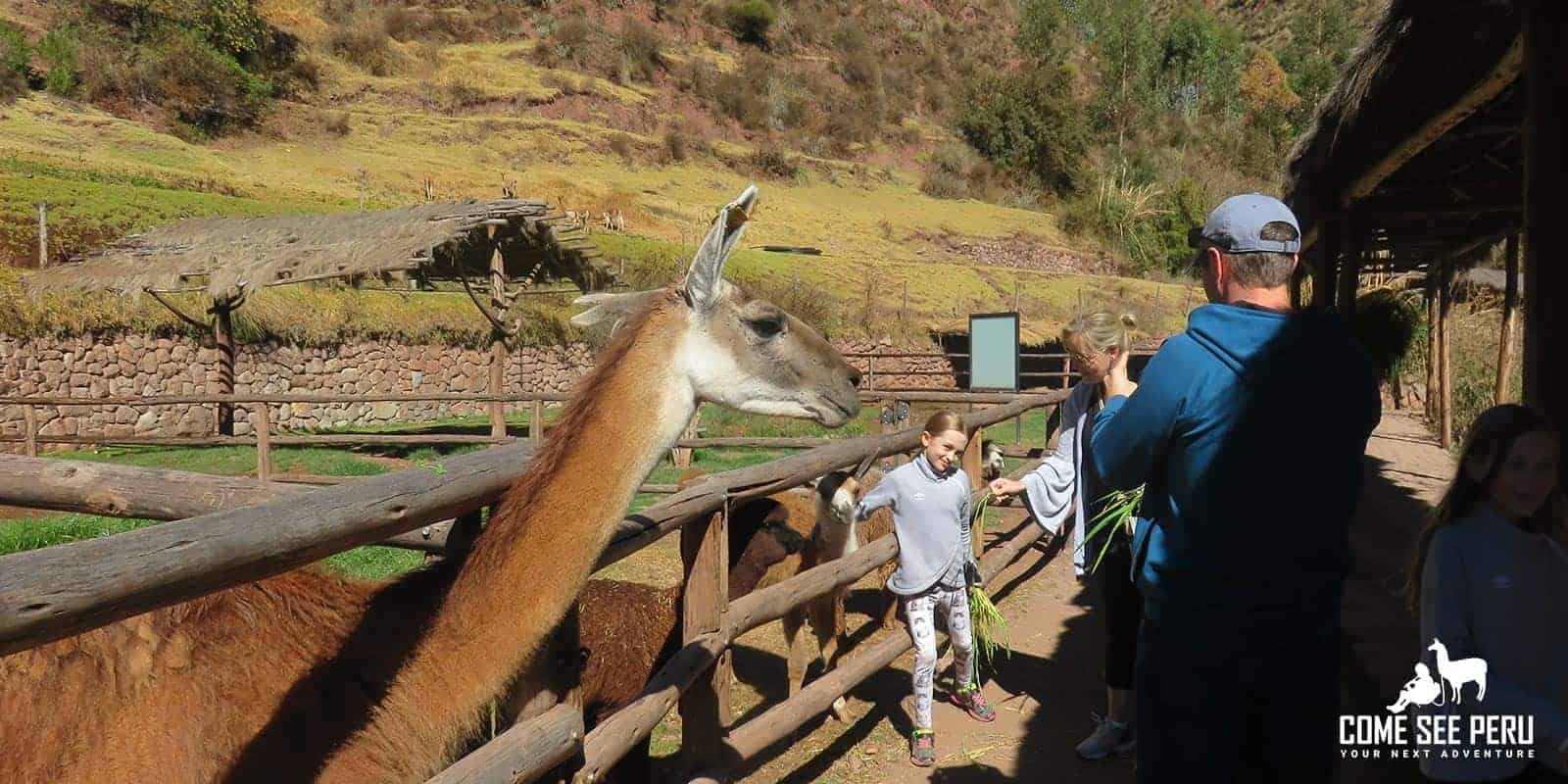 Come See Peru Tours