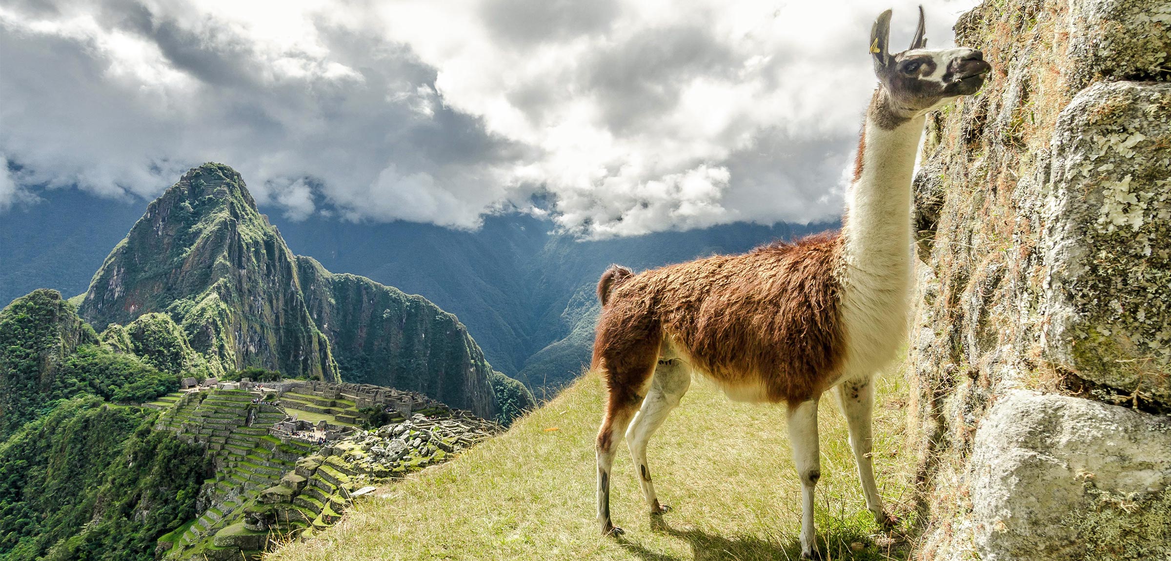 Exploring Machu Picchu