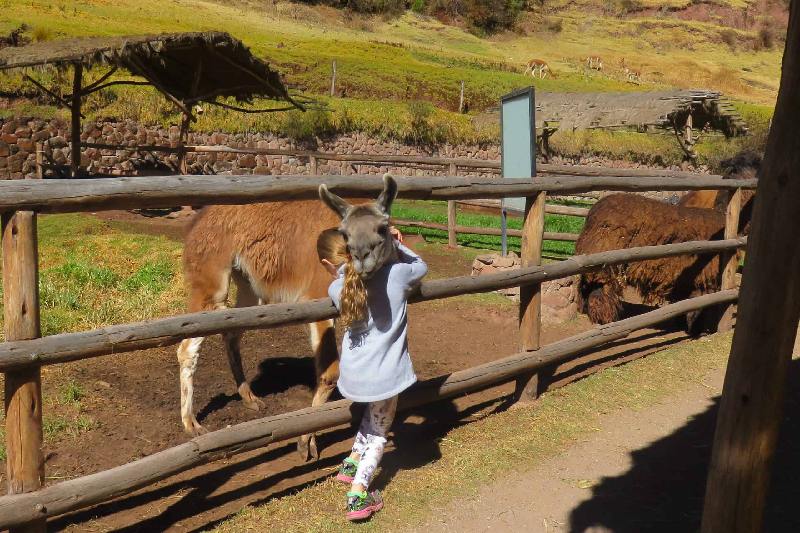 Alpaca Farm in Pisac