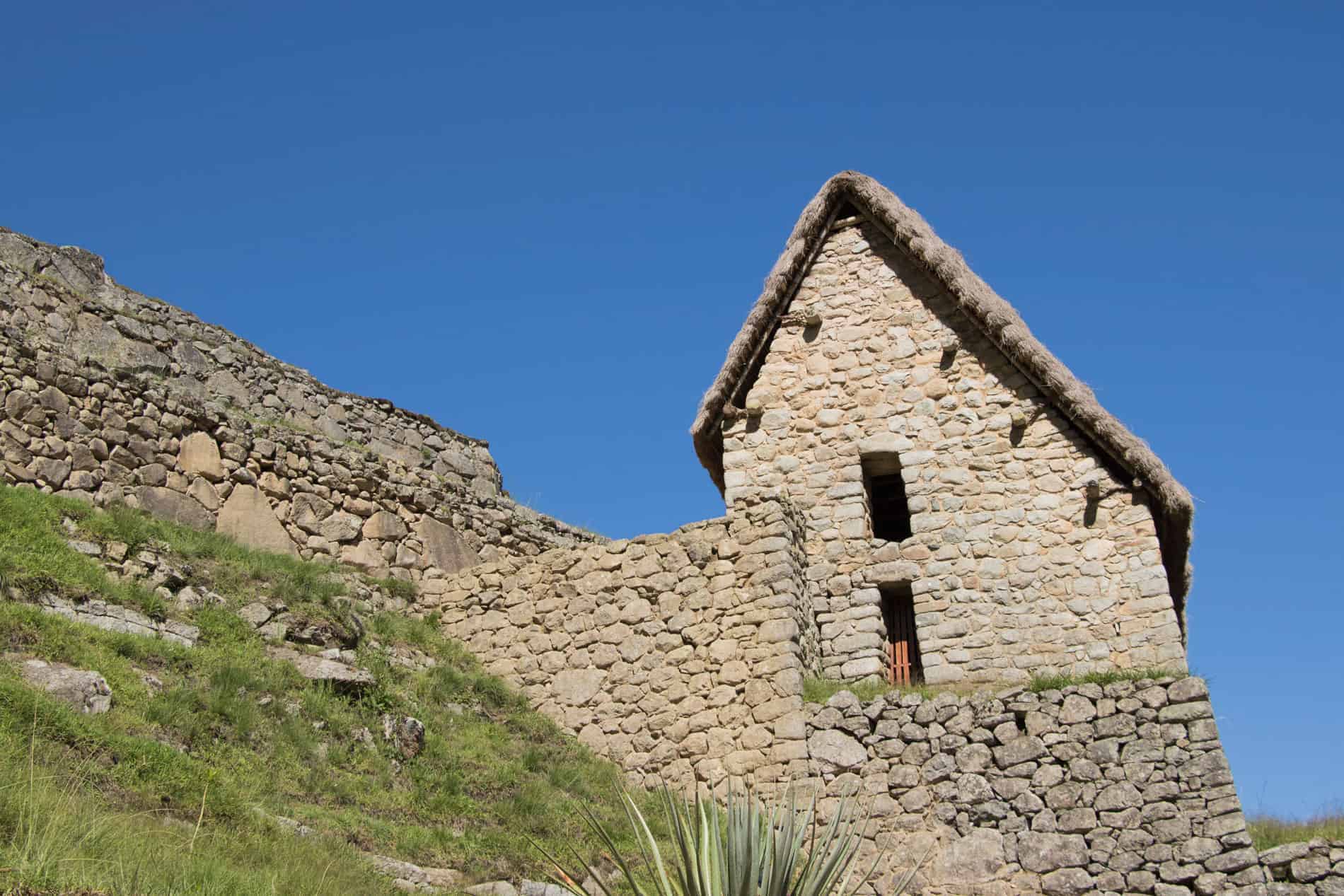 Come See Peru Tours