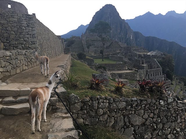 Machupicchu