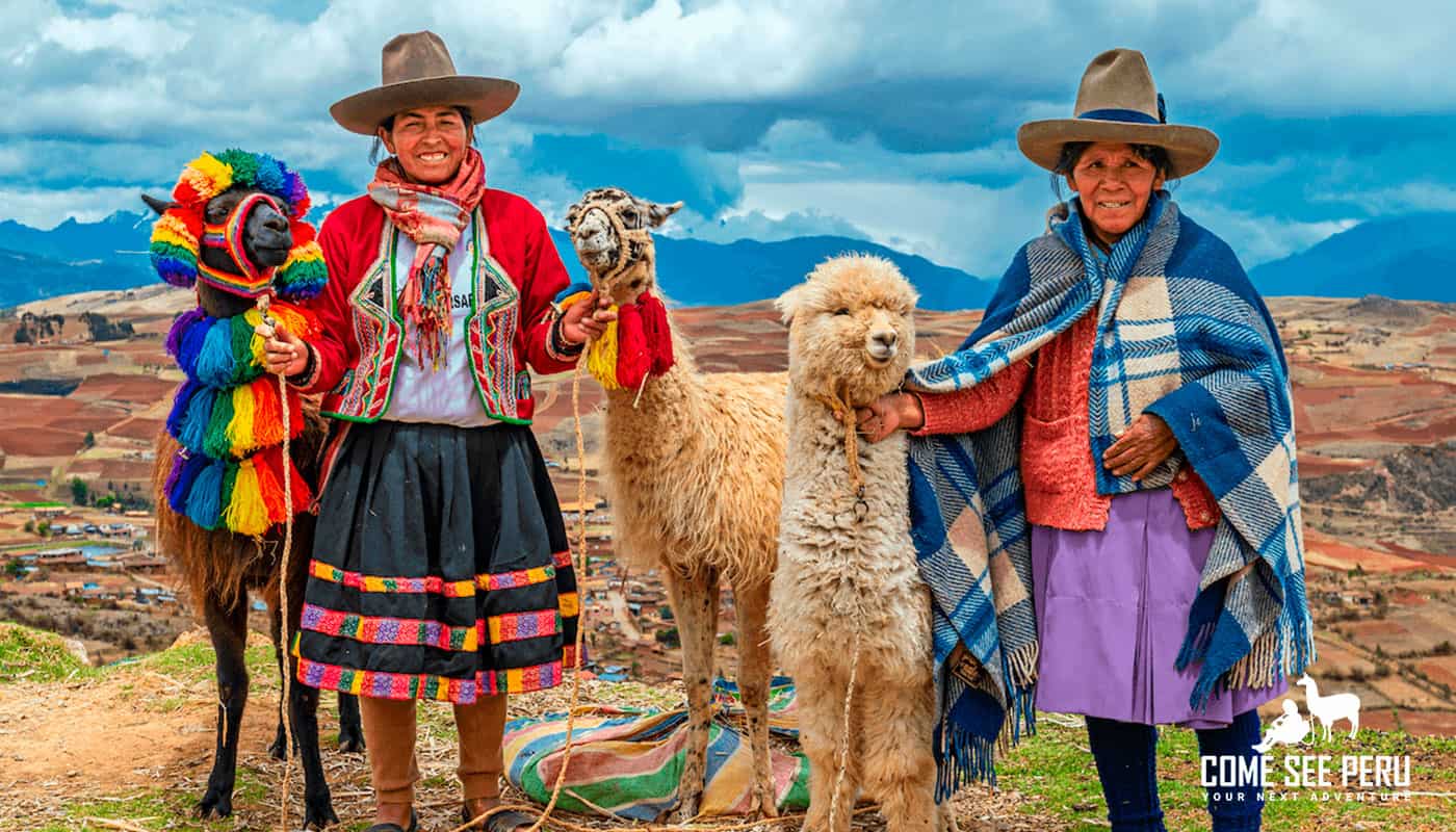 Alpacas and Llamas in cuscp - Perú