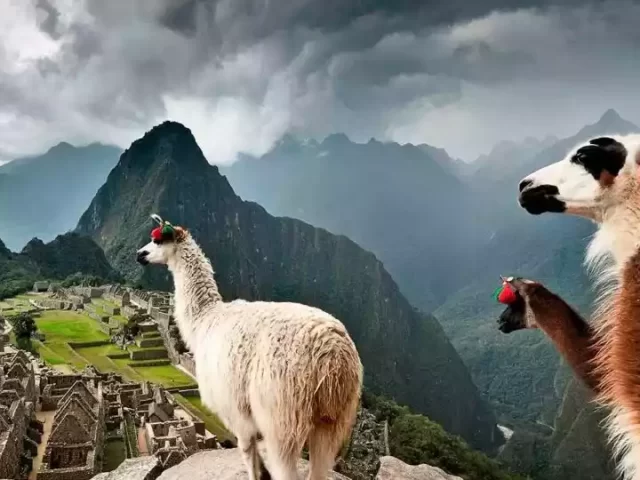 Mistakes Travelers Make When Visiting Machu Picchu