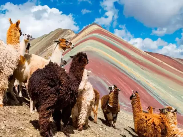 Are Perú Rainbow Mountain Tours Reopened After COVID-19 in 2021?