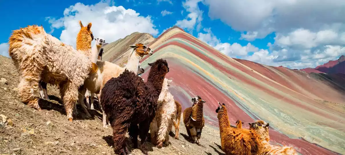 Are Perú Rainbow Mountain Tours Reopened After COVID-19 in 2021?