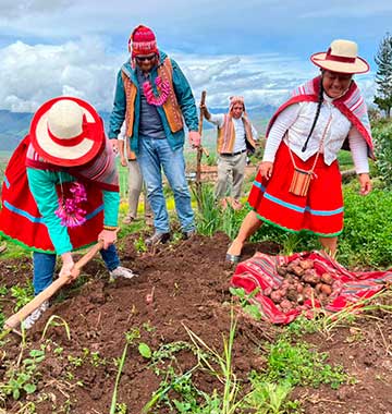 Moray, Salt Mines & Misminay Farming Activity from Urubamba