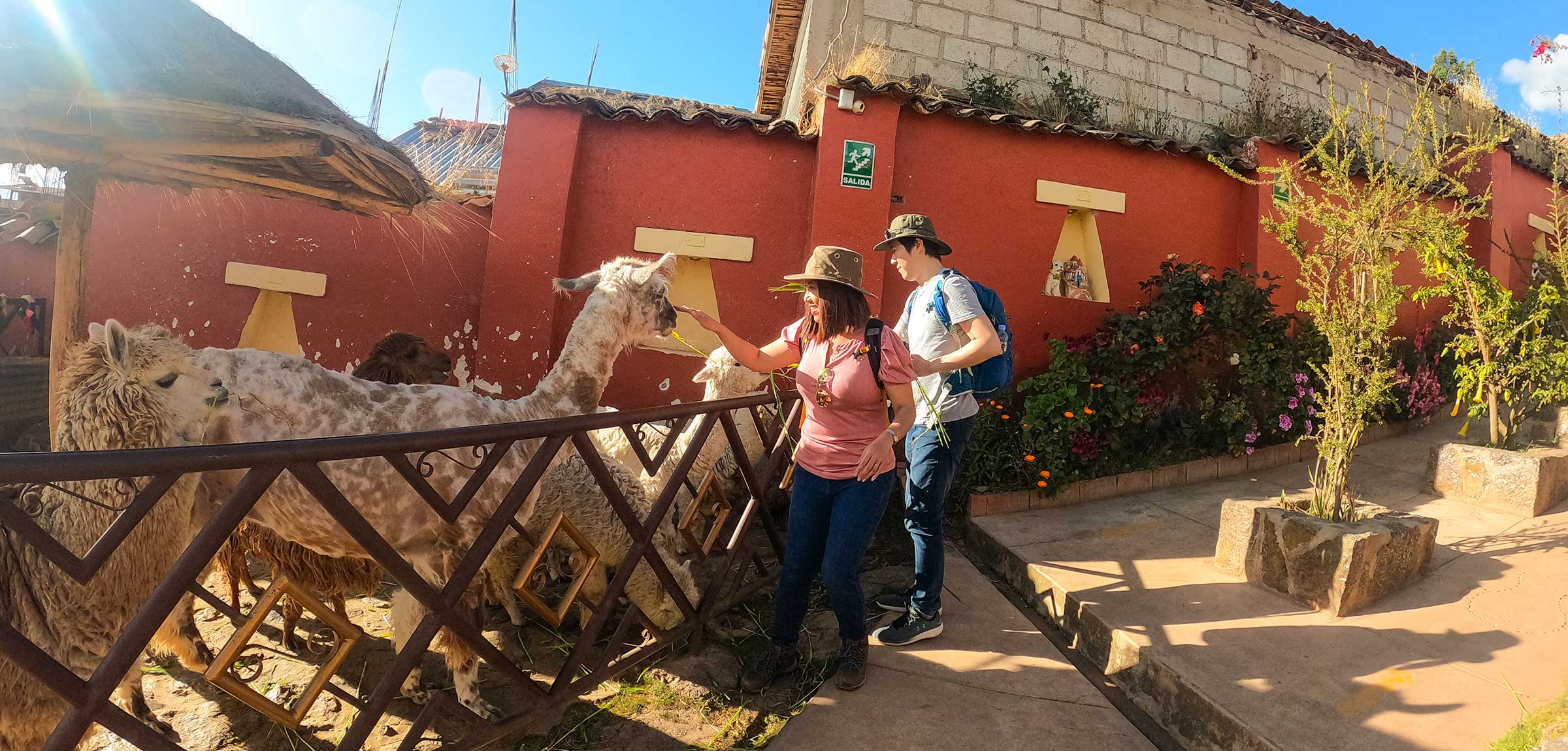 Sacred Valley Alpaca Farm