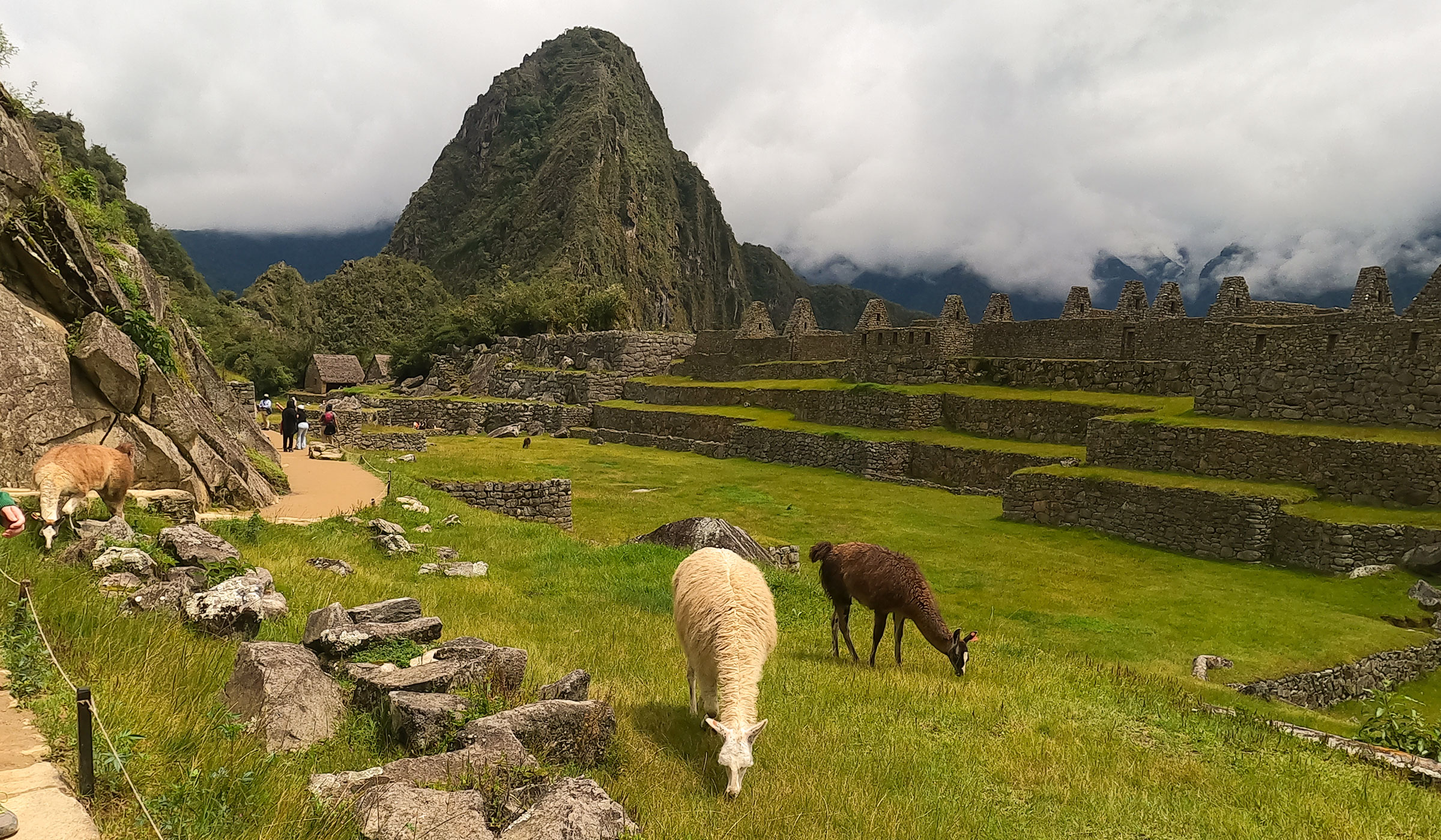 Visiting Machu Picchu in December