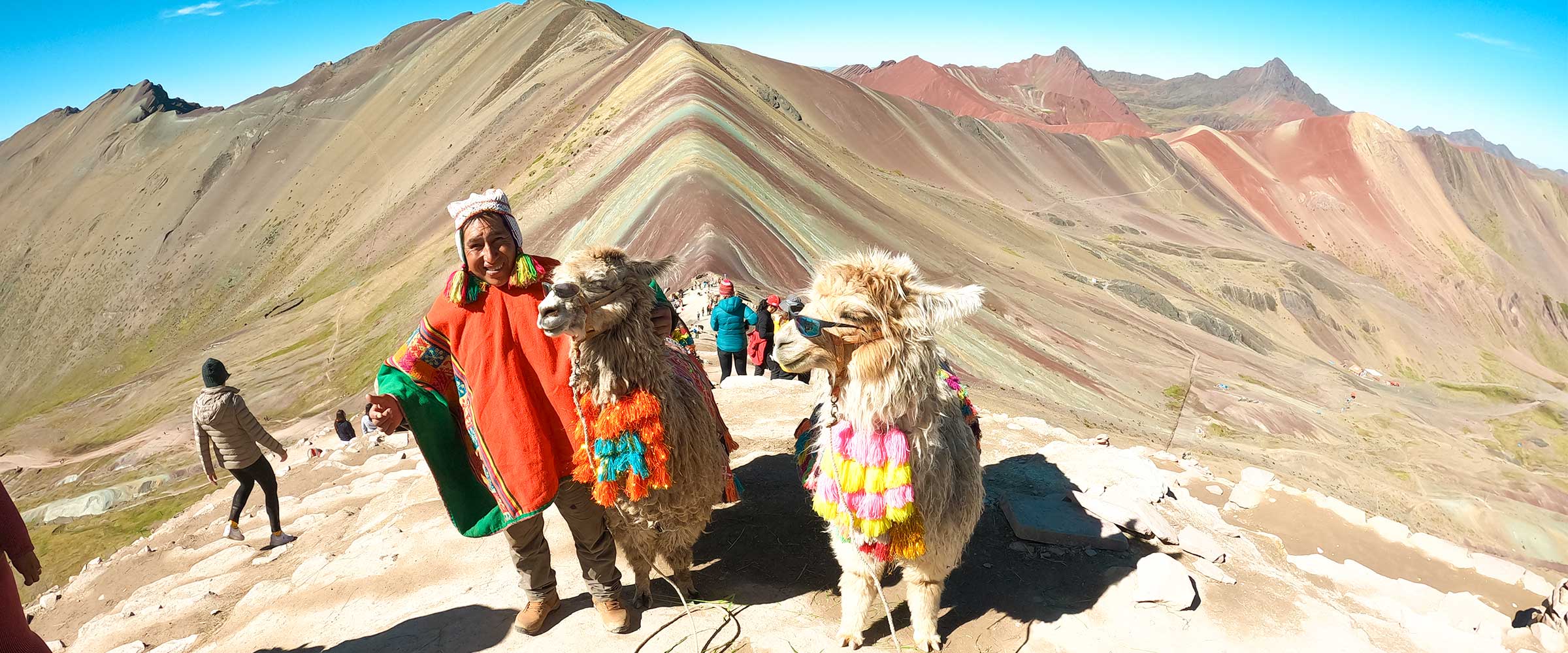 Alpacas at Rainbow Mountain