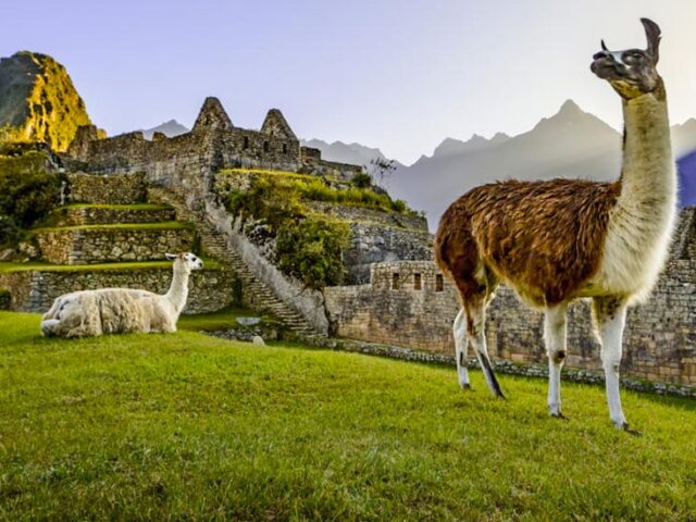 Is There an Age Limit for Machu Picchu? | Everything You Need to Know