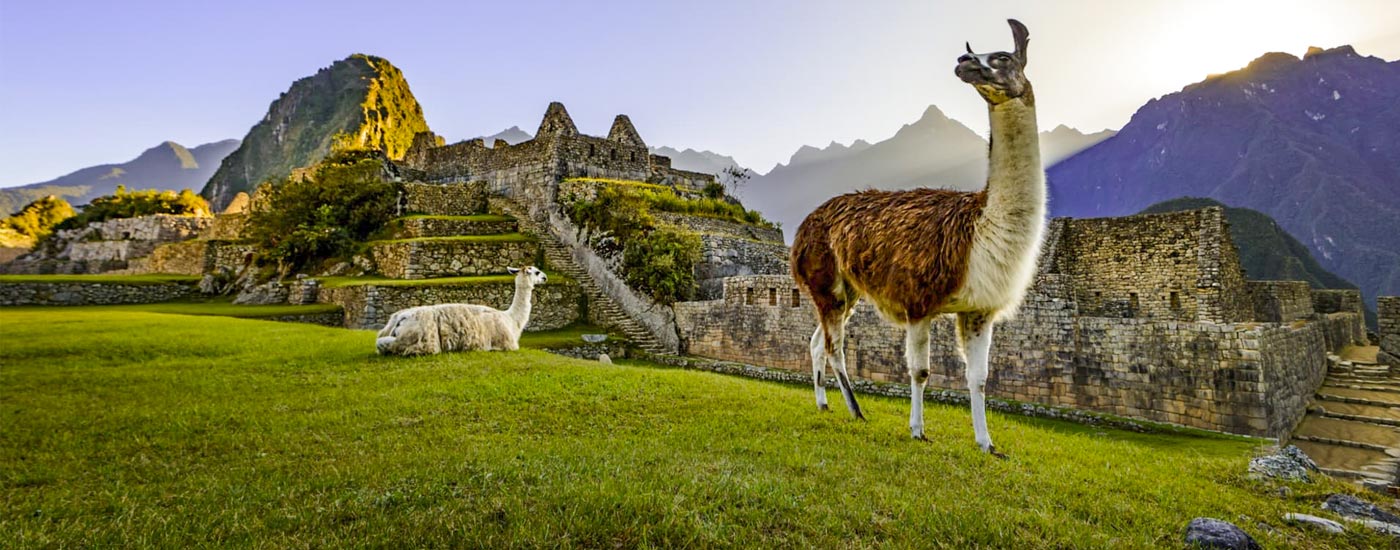 Machu Picchu