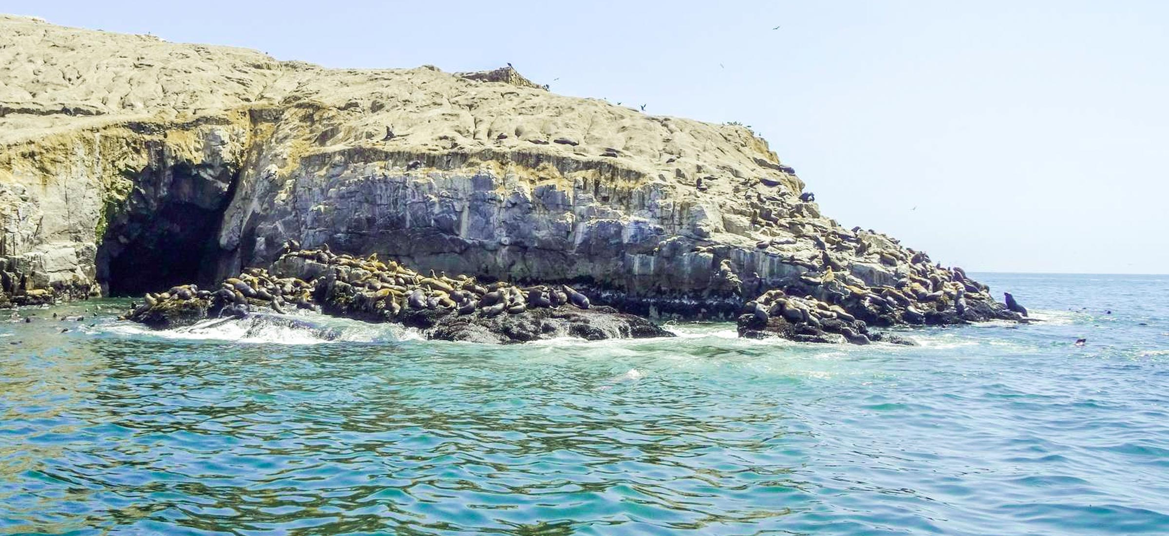 Palomino Islands - Lima