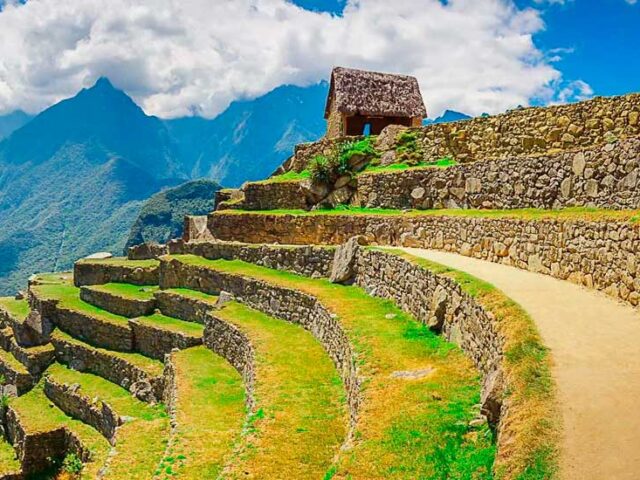Machu Picchu Agricultural Terraces: How They  Worked